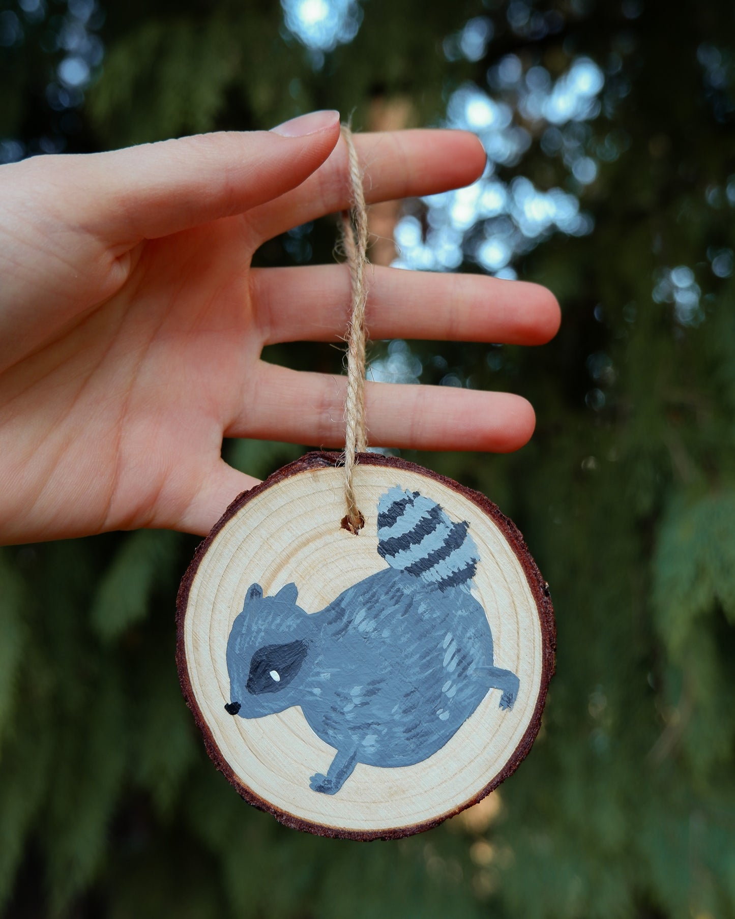 Raccoon Ornaments - Hand-Painted Ornaments