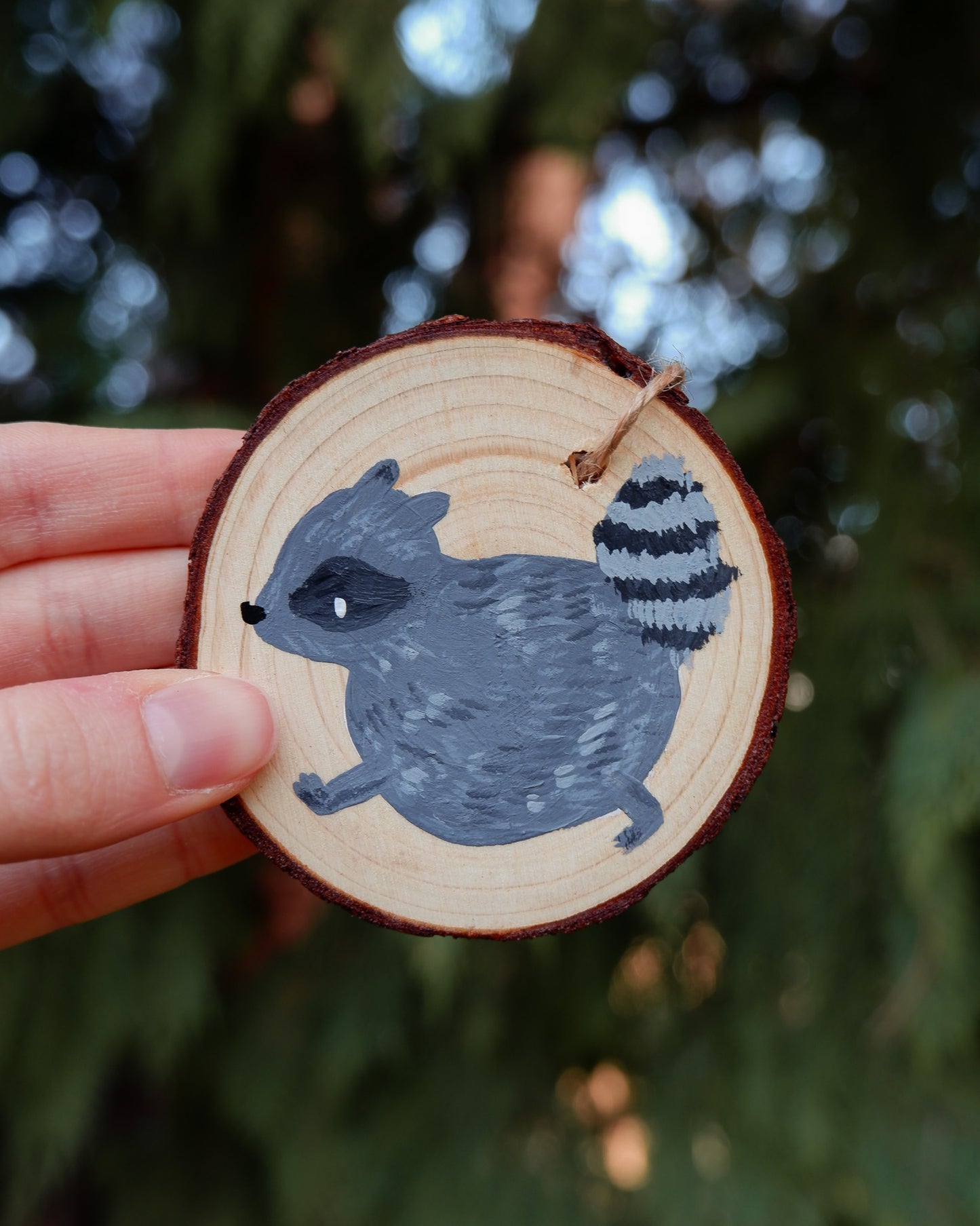 Raccoon Ornaments - Hand-Painted Ornaments