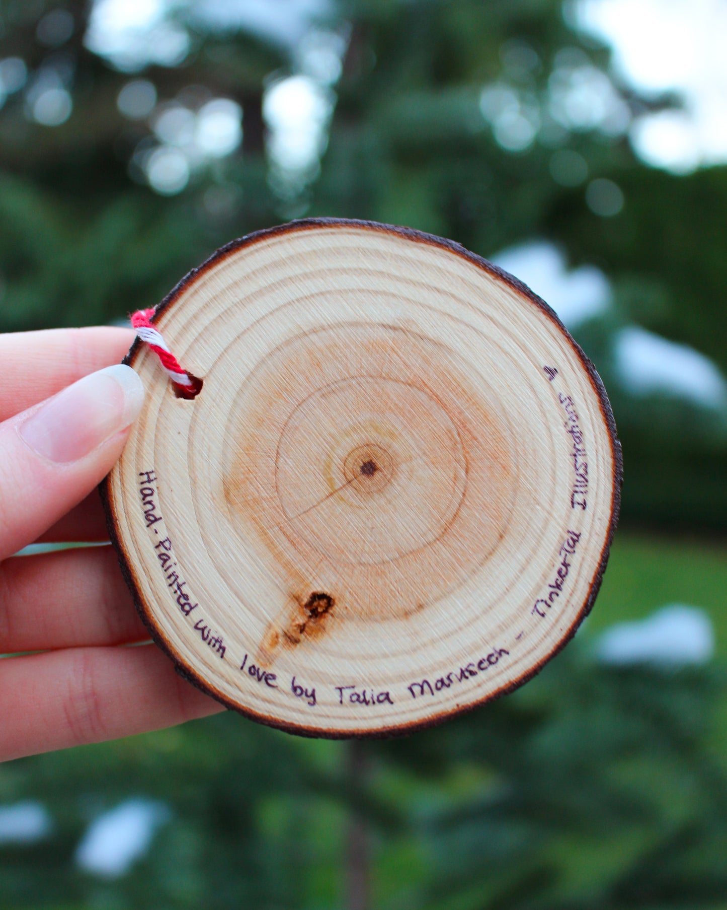 Winter Crow Ornaments - Hand-Painted Ornament