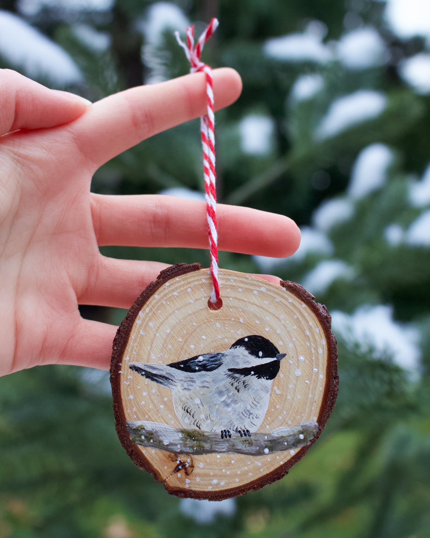 Chickadee Ornaments (5) - Hand-Painted Ornaments