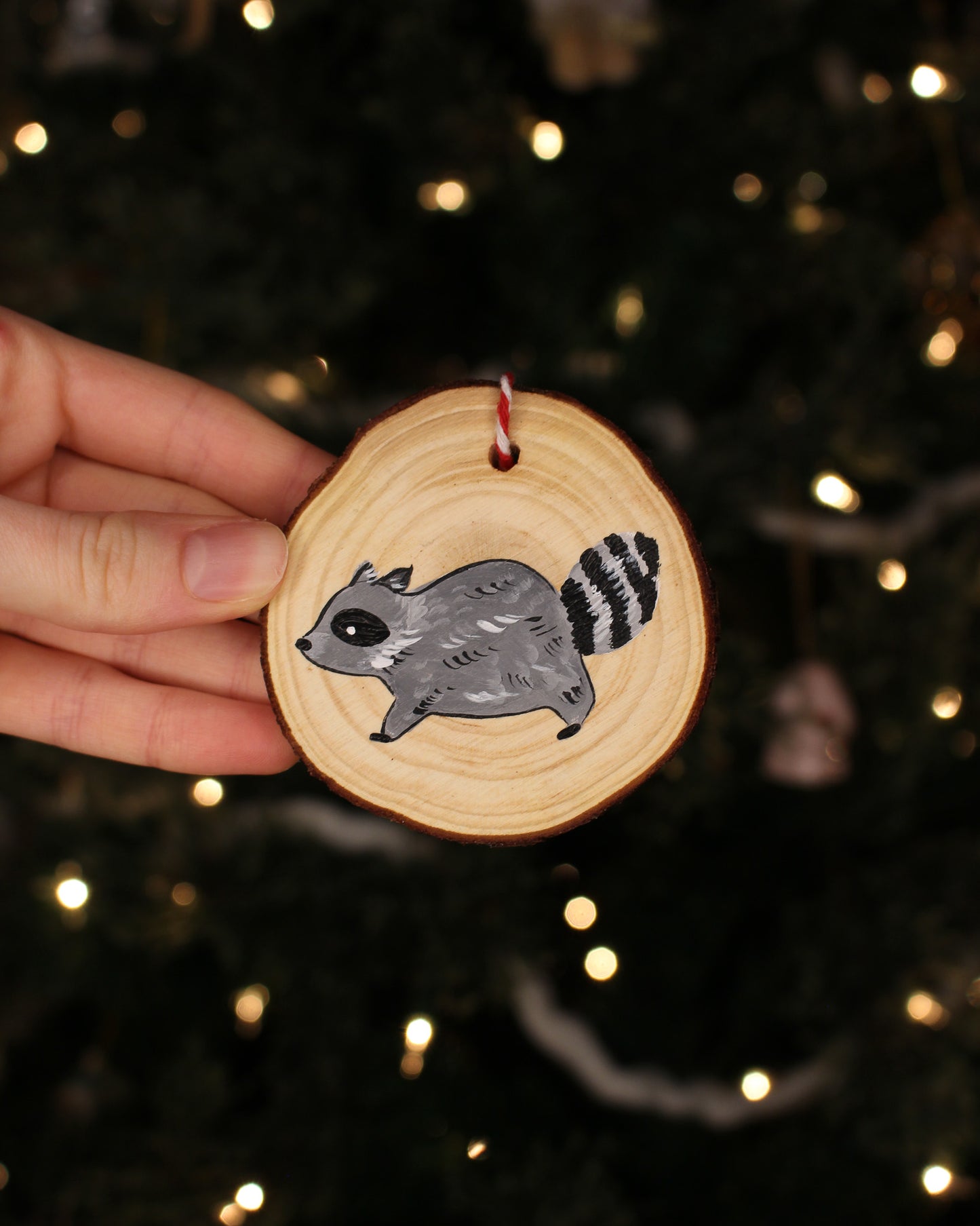 Raccoon Ornaments - Hand-Painted Ornaments