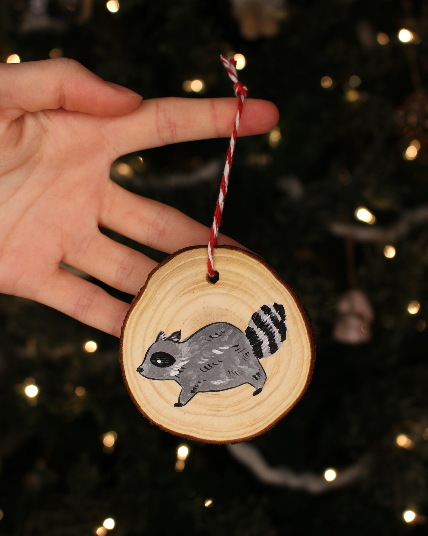 Raccoon Ornaments - Hand-Painted Ornaments