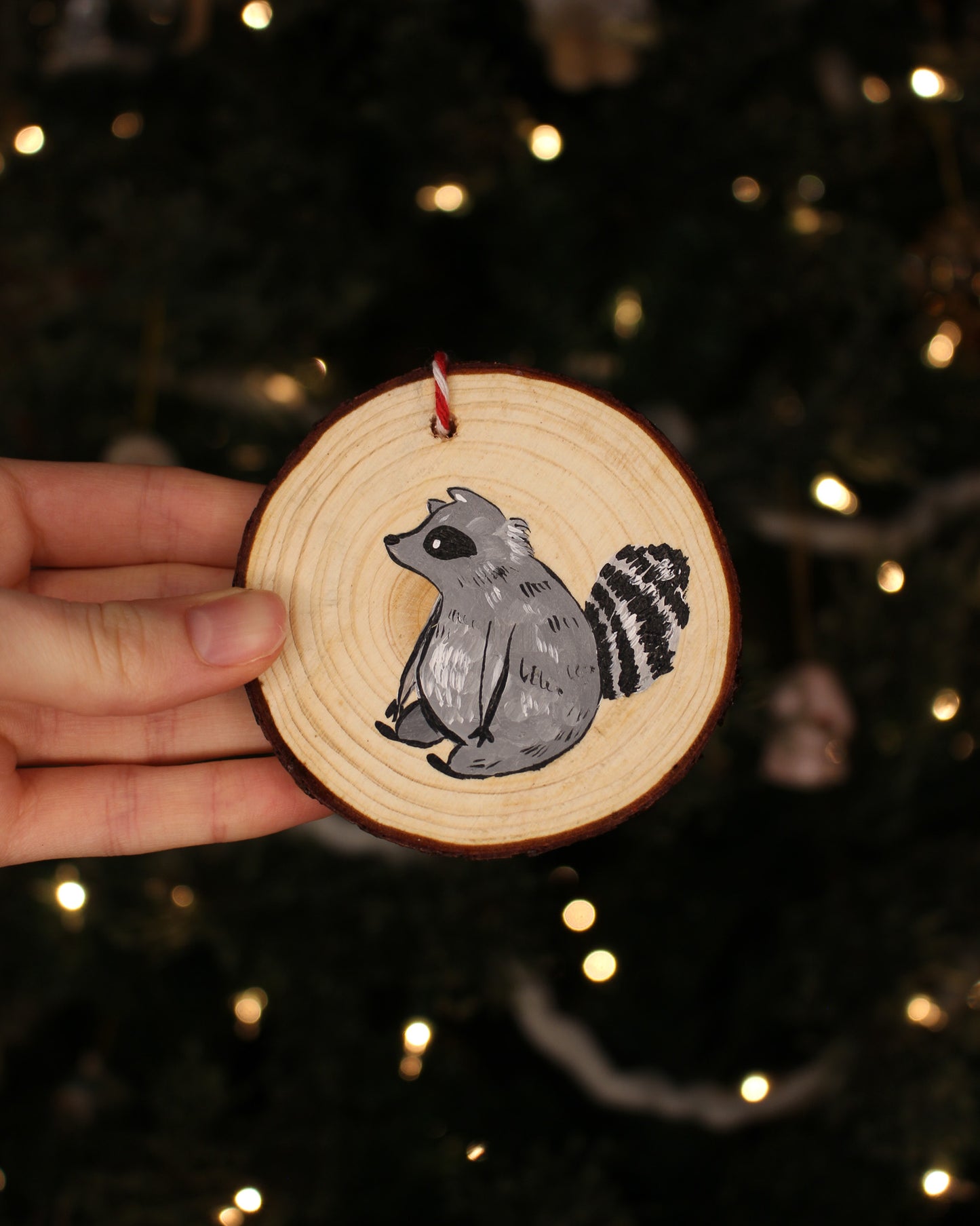Raccoon Ornaments - Hand-Painted Ornaments
