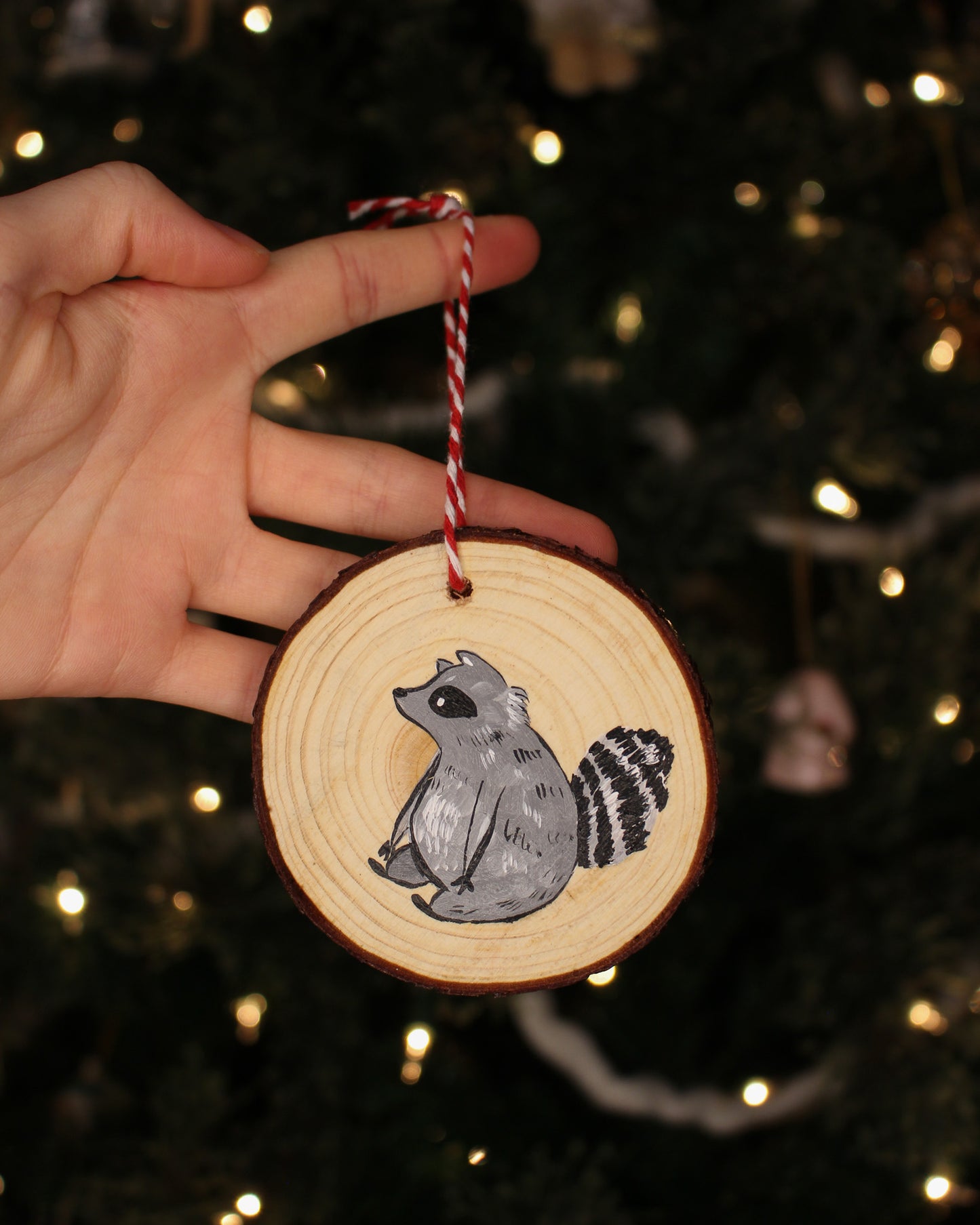 Raccoon Ornaments - Hand-Painted Ornaments