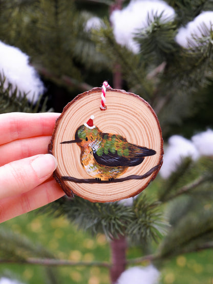 Hummingbird Ornaments (7) - Hand-Painted Ornaments