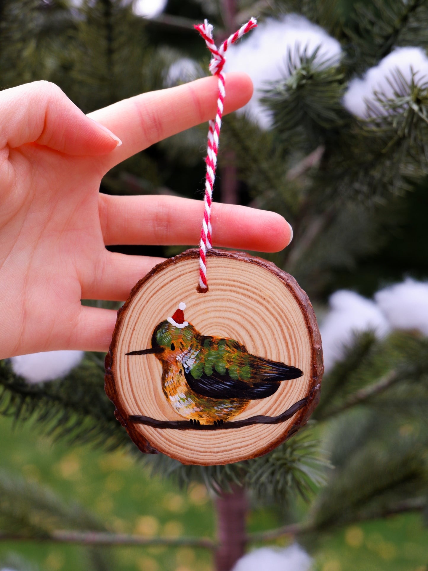 Hummingbird Ornaments (7) - Hand-Painted Ornaments