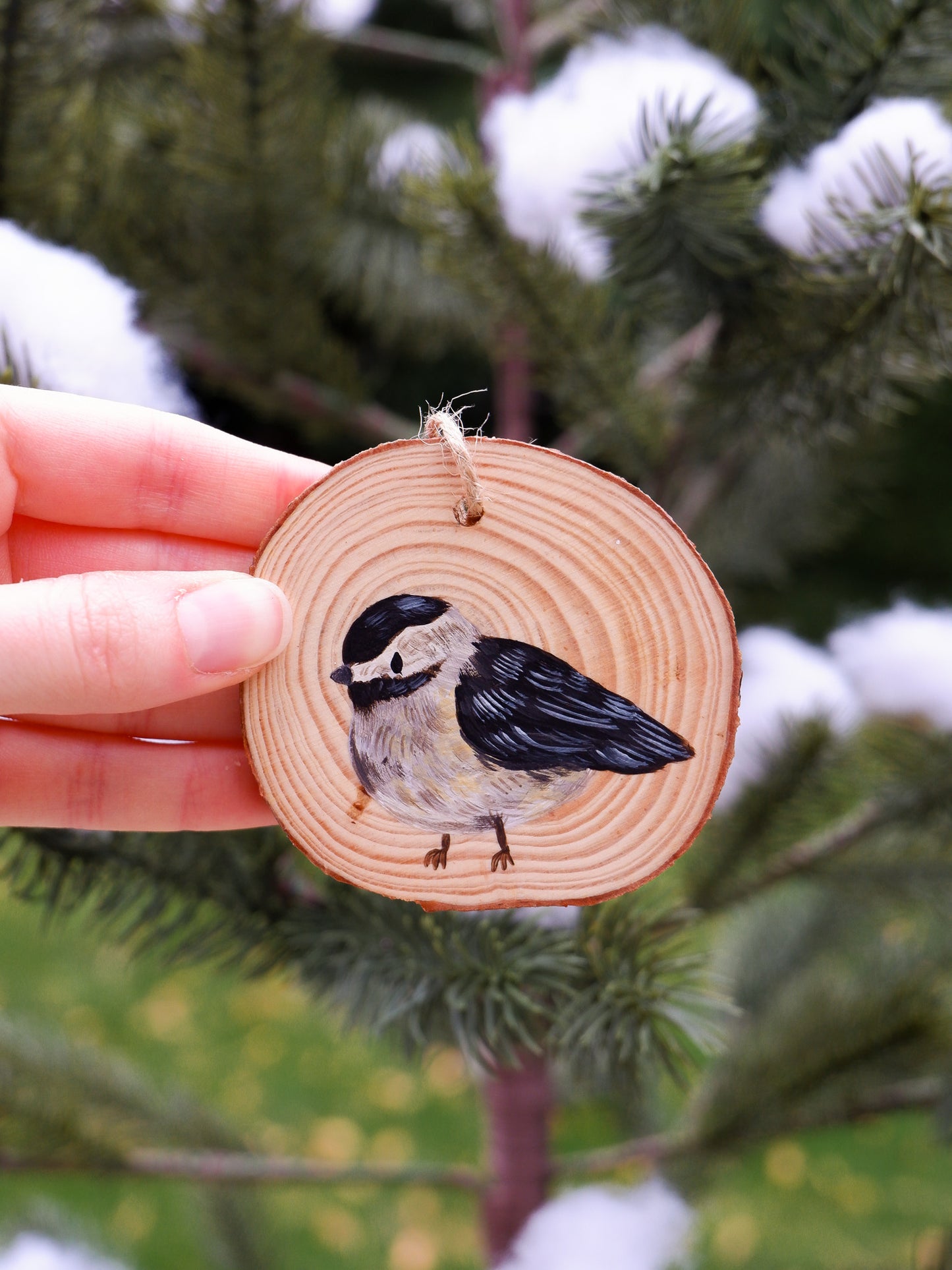 Chickadee Ornaments - Hand-Painted Ornaments (6)