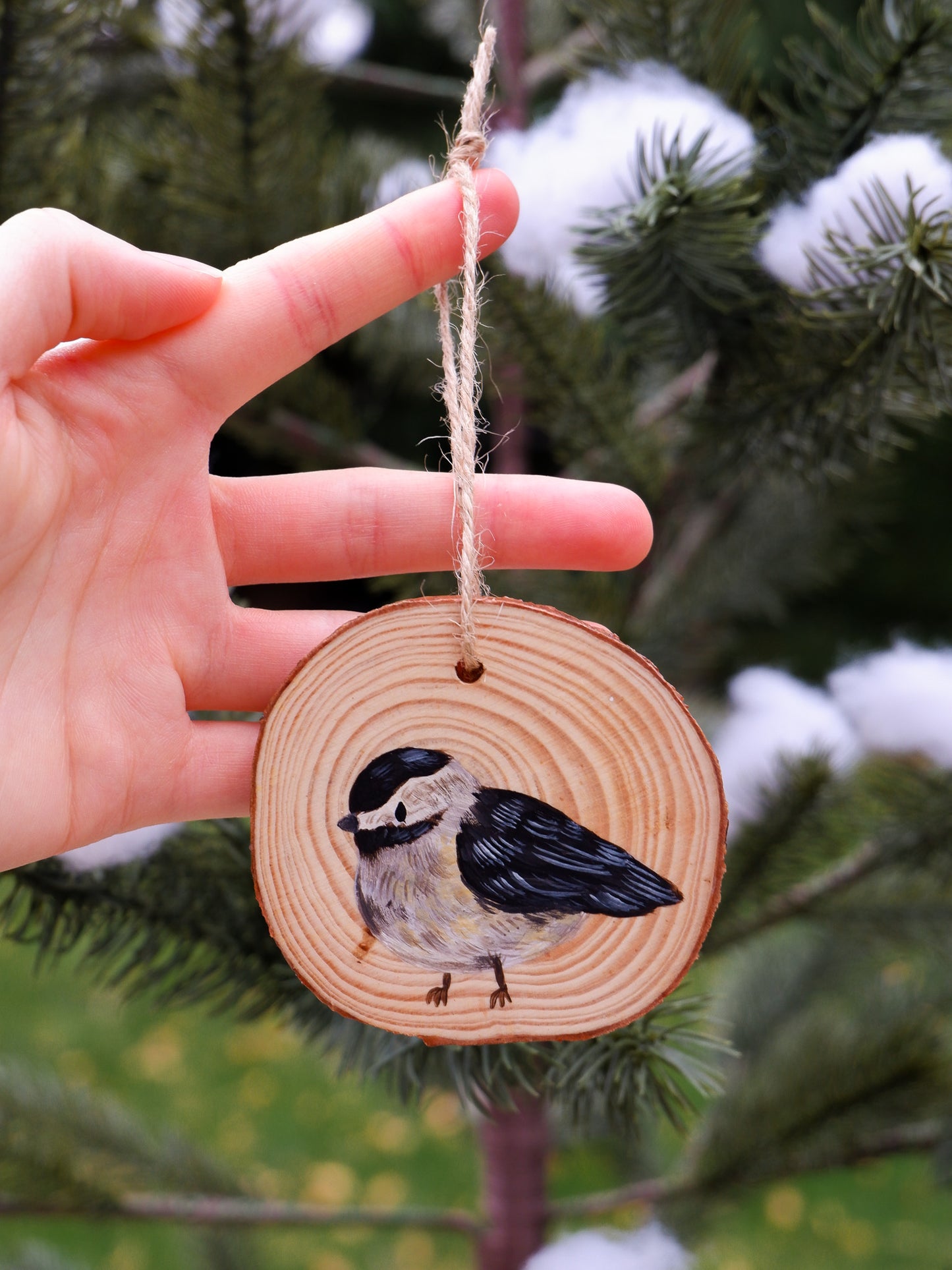 Chickadee Ornaments - Hand-Painted Ornaments (6)