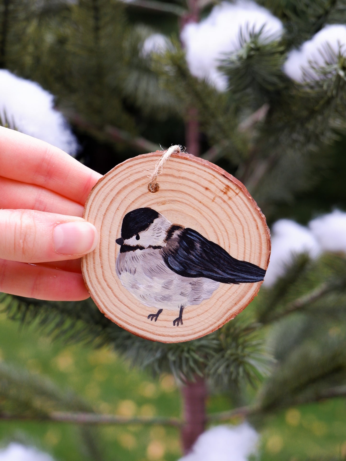 Chickadee Ornaments - Hand-Painted Ornaments (6)