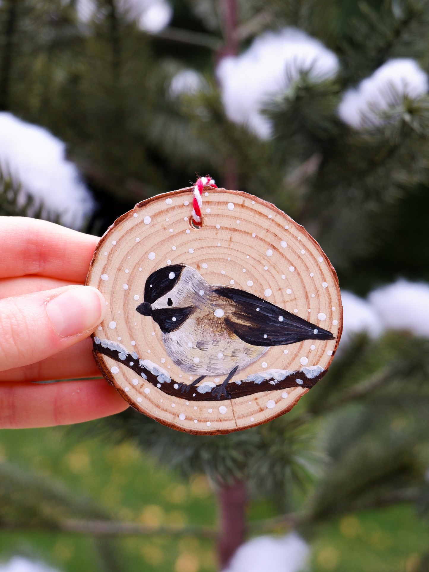 Chickadee Ornaments - Hand-Painted Ornaments (6)