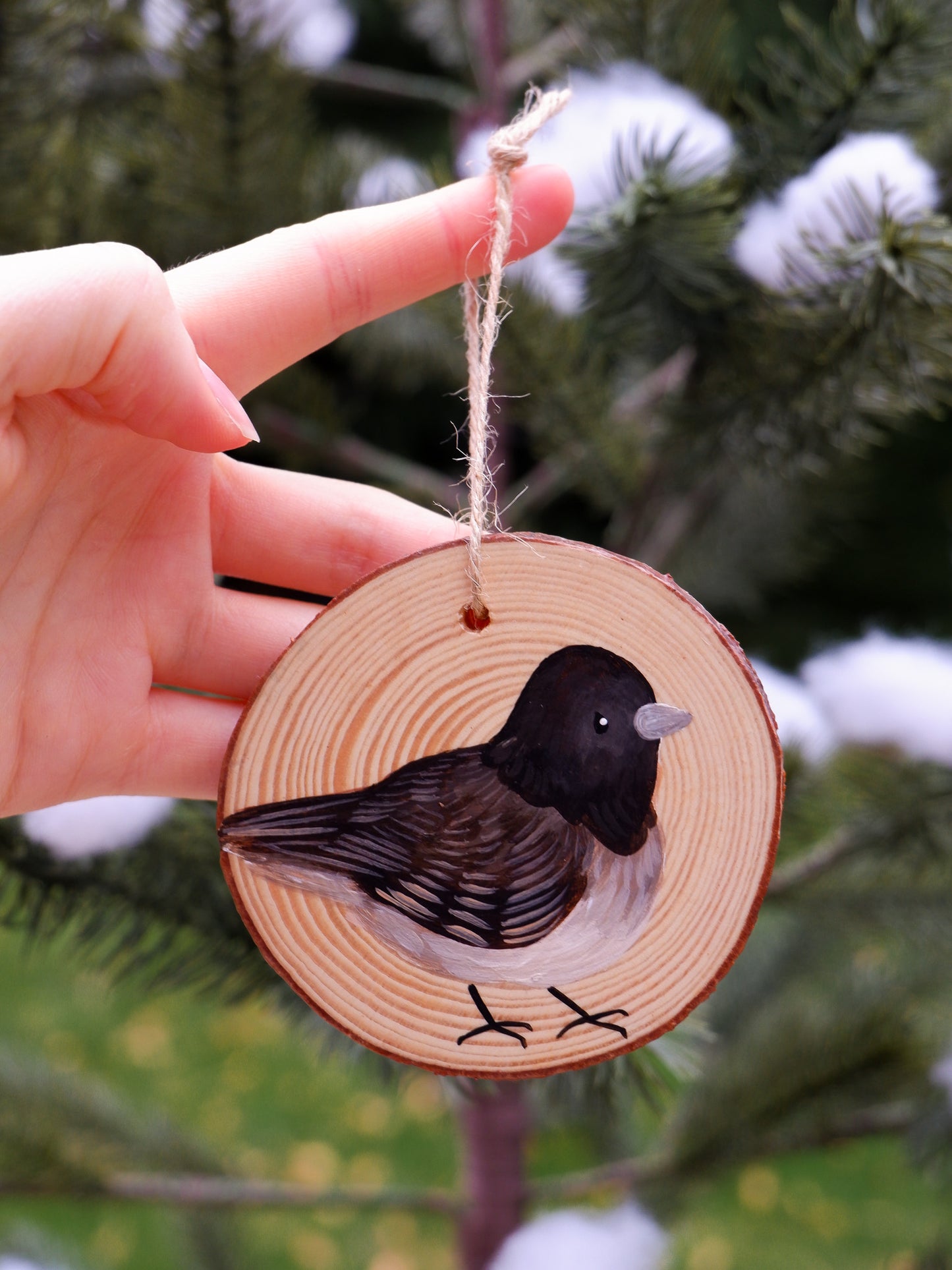 Junco Bird Ornaments (4) - Hand-Painted Ornaments