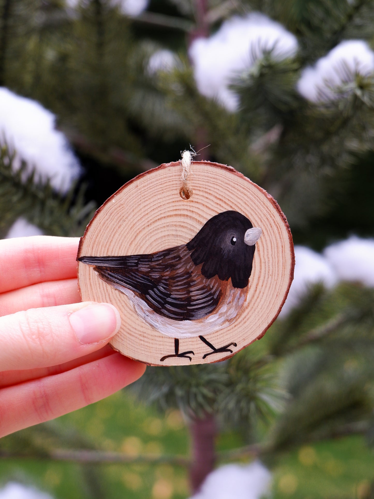 Junco Bird Ornaments (4) - Hand-Painted Ornaments