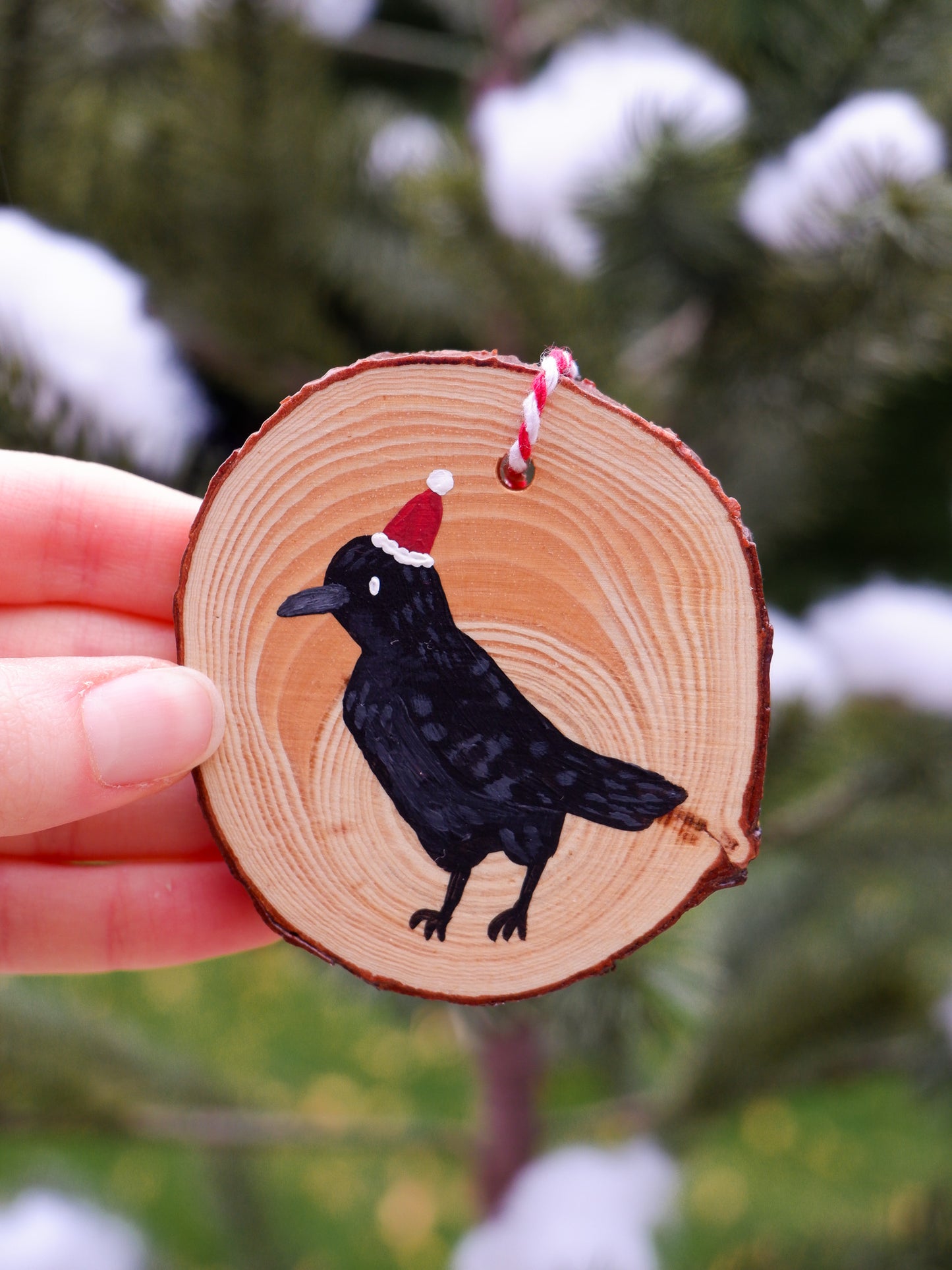 Crow Ornaments - Hand-Painted Ornaments (3)