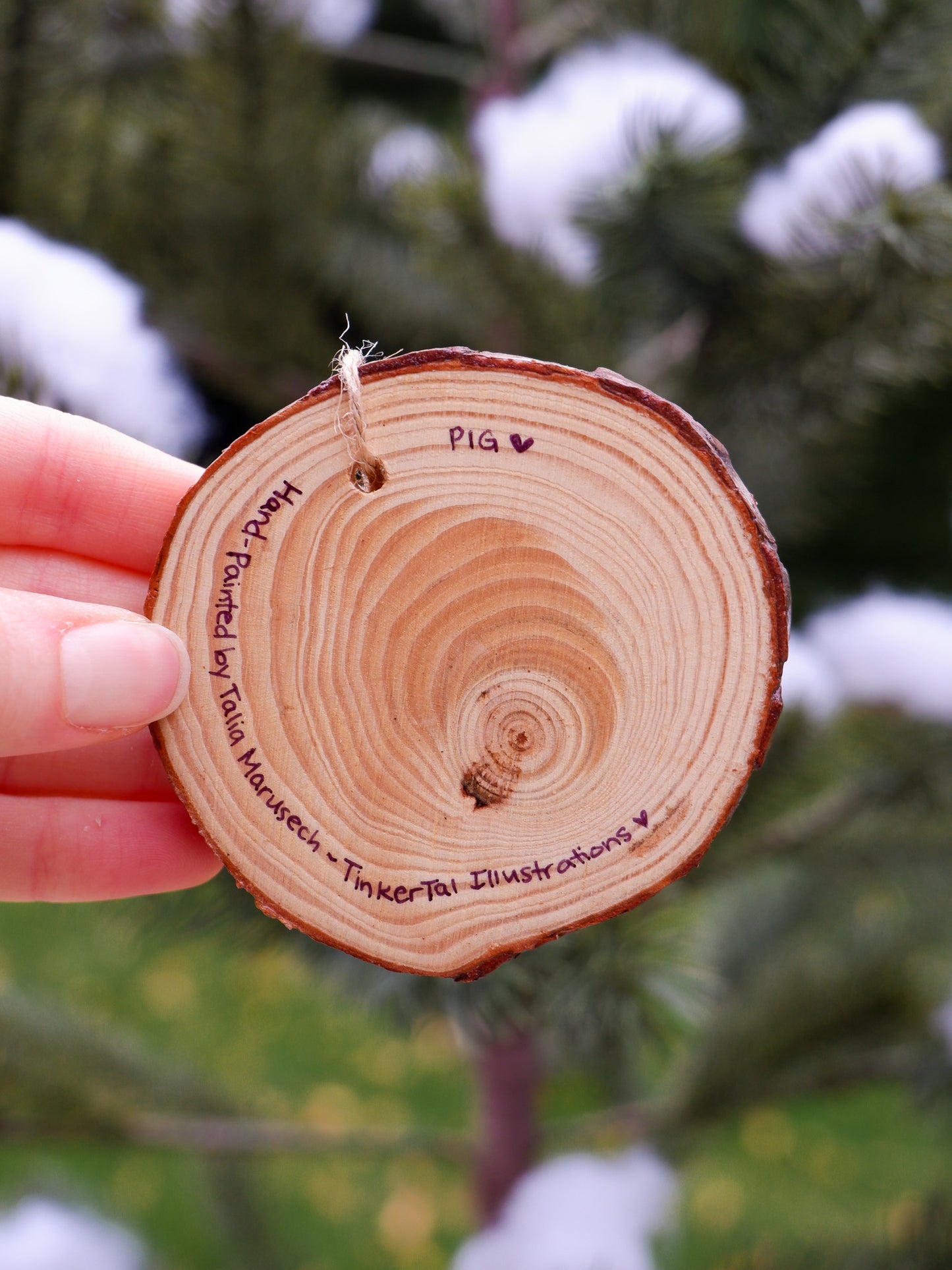 Pig Ornament - Hand-Painted Ornament