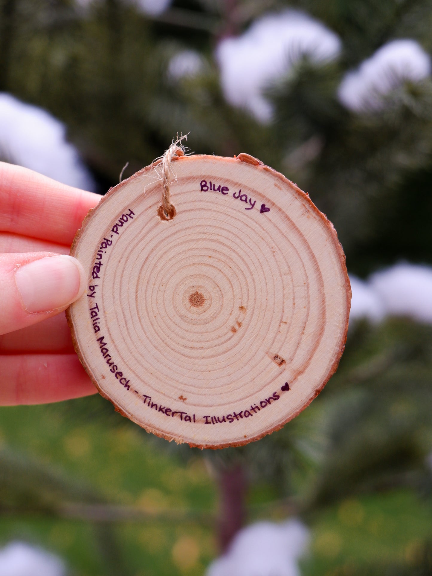 Winter Bluejay Ornament - Hand-Painted Ornaments (3)