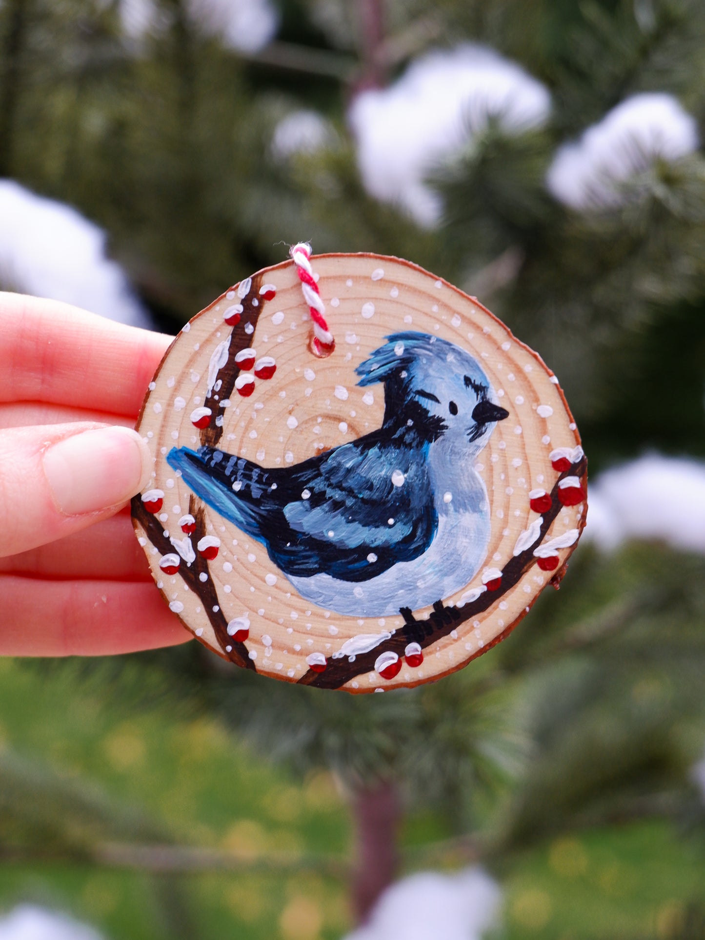 Winter Bluejay Ornament - Hand-Painted Ornaments (3)