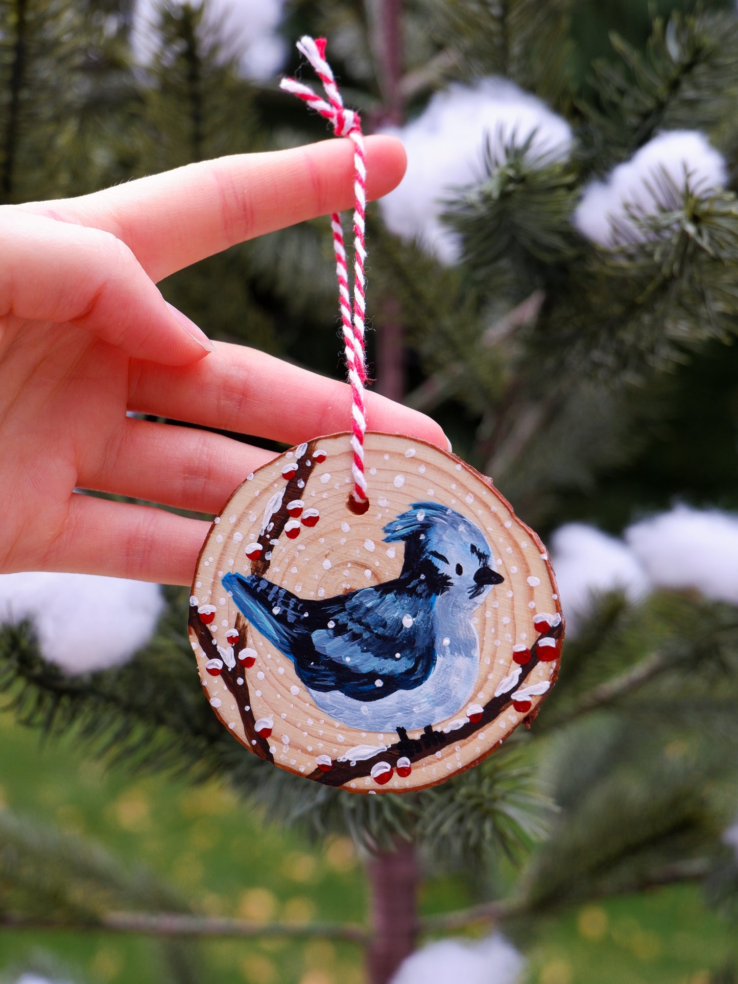 Winter Bluejay Ornament - Hand-Painted Ornaments (3)