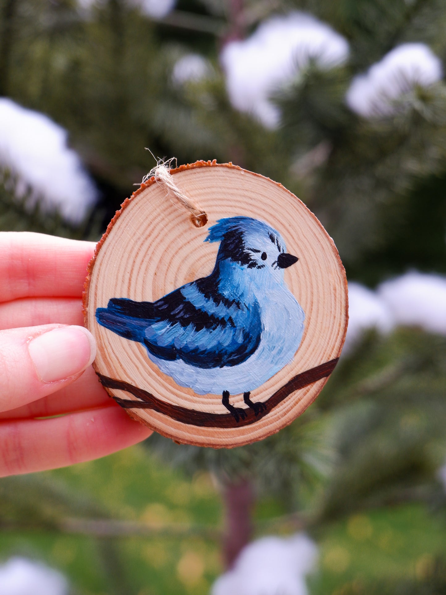 Winter Bluejay Ornament - Hand-Painted Ornaments (3)