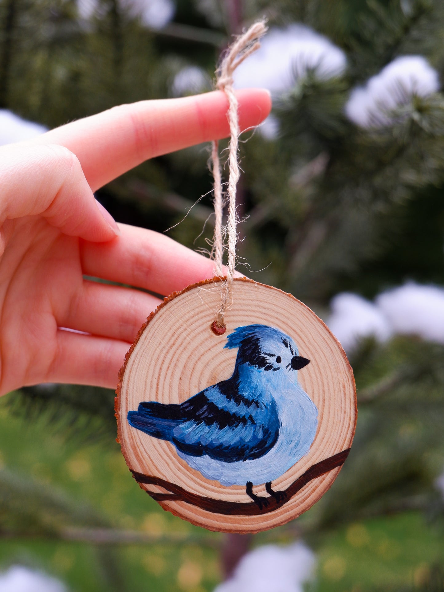 Winter Bluejay Ornament - Hand-Painted Ornaments (3)