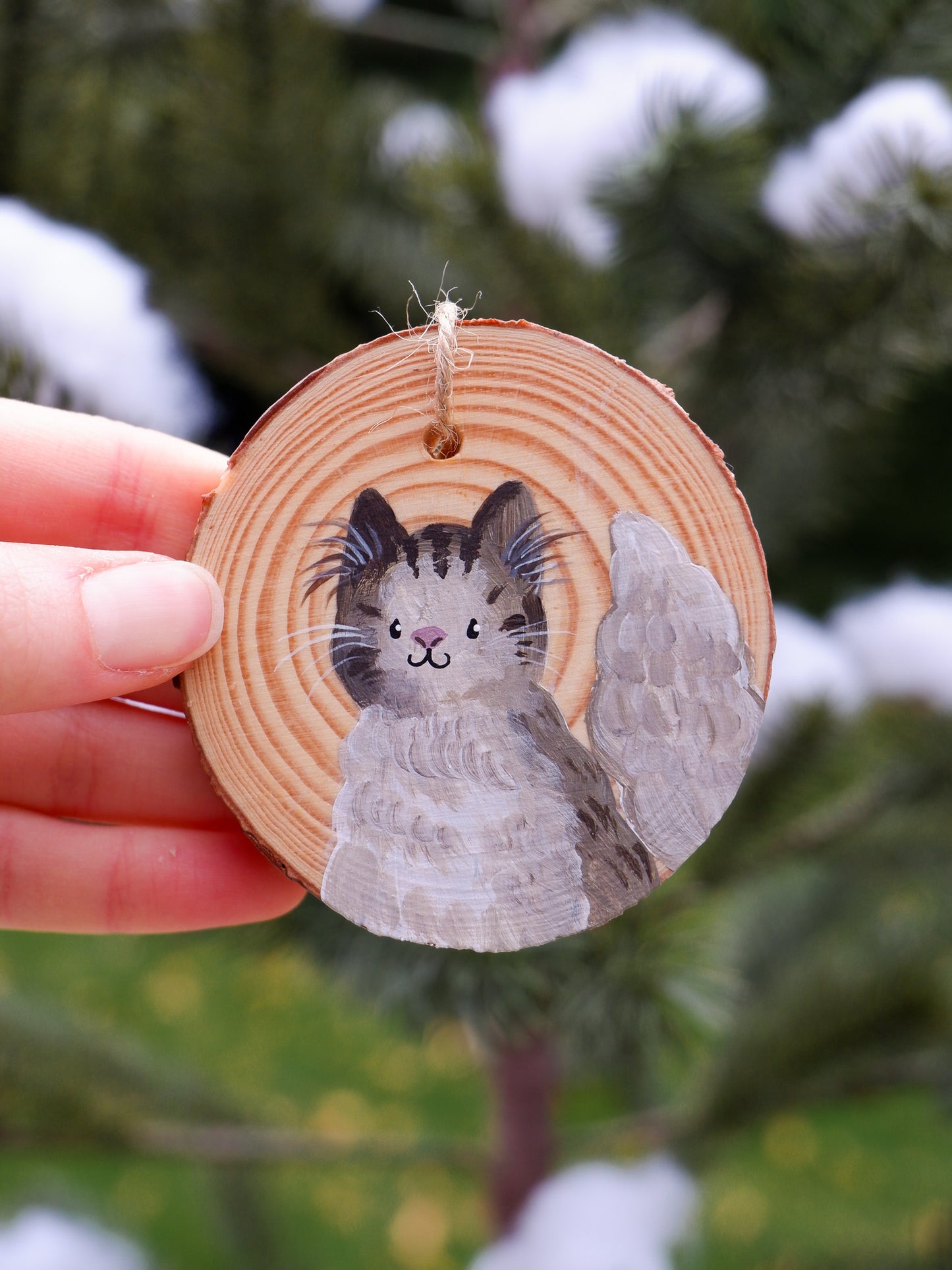 Pet Cats - Hand-Painted Ornaments (3)