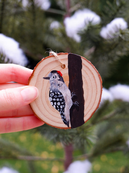 Woodpecker Ornaments- Hand-Painted Ornaments (5)