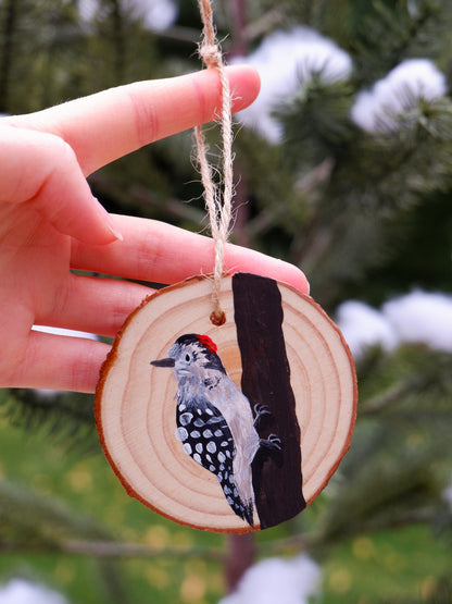 Woodpecker Ornaments- Hand-Painted Ornaments (5)