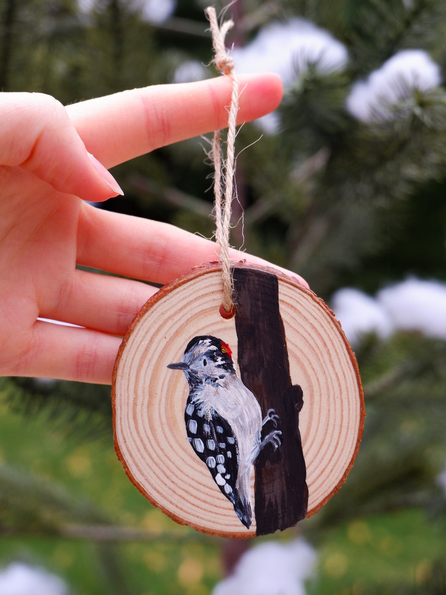 Woodpecker Ornaments- Hand-Painted Ornaments (5)