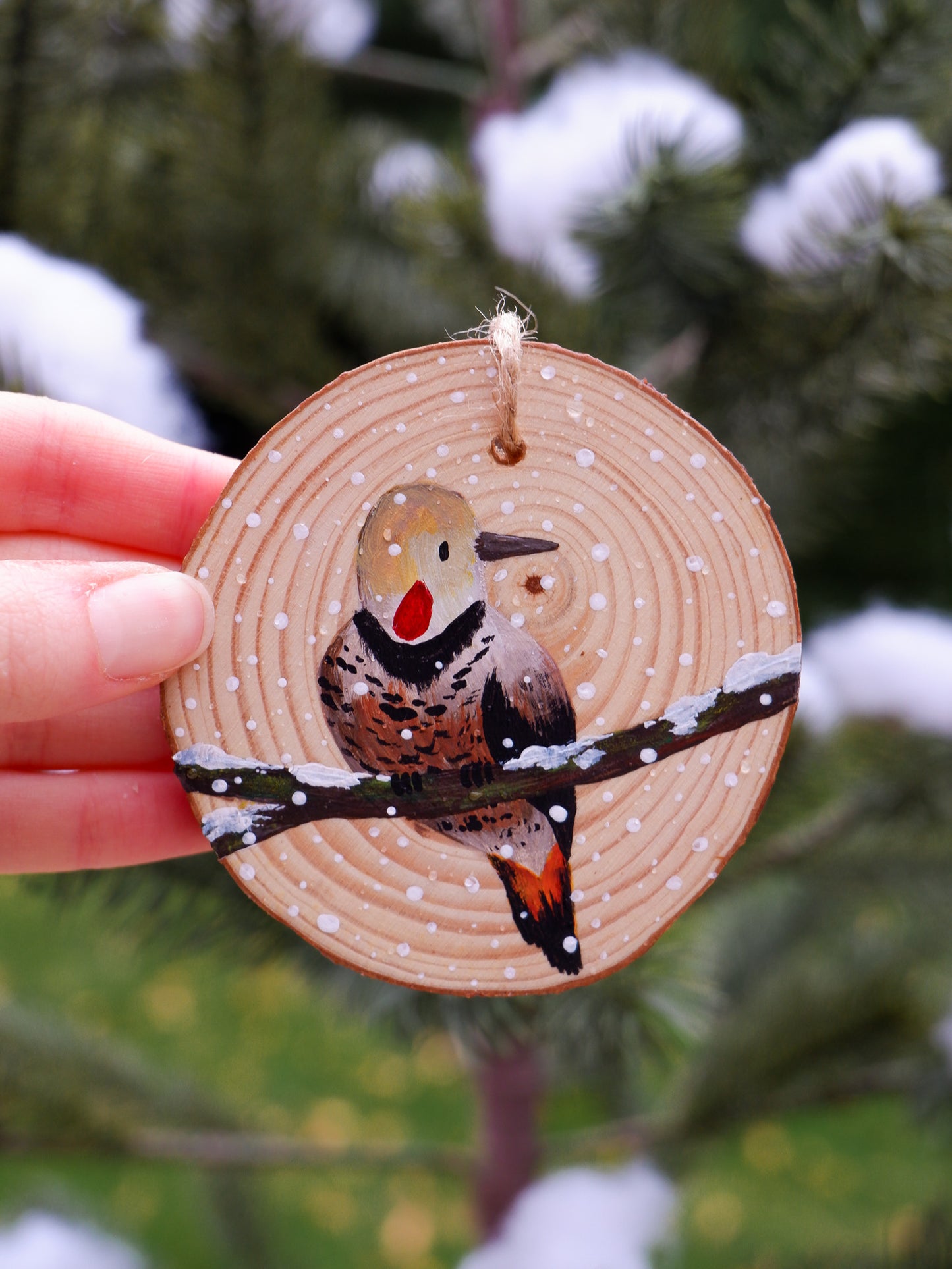 Woodpecker Ornaments- Hand-Painted Ornaments (5)