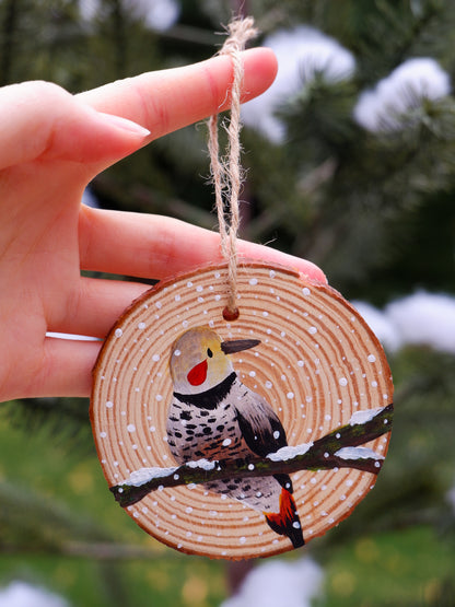 Woodpecker Ornaments- Hand-Painted Ornaments (5)