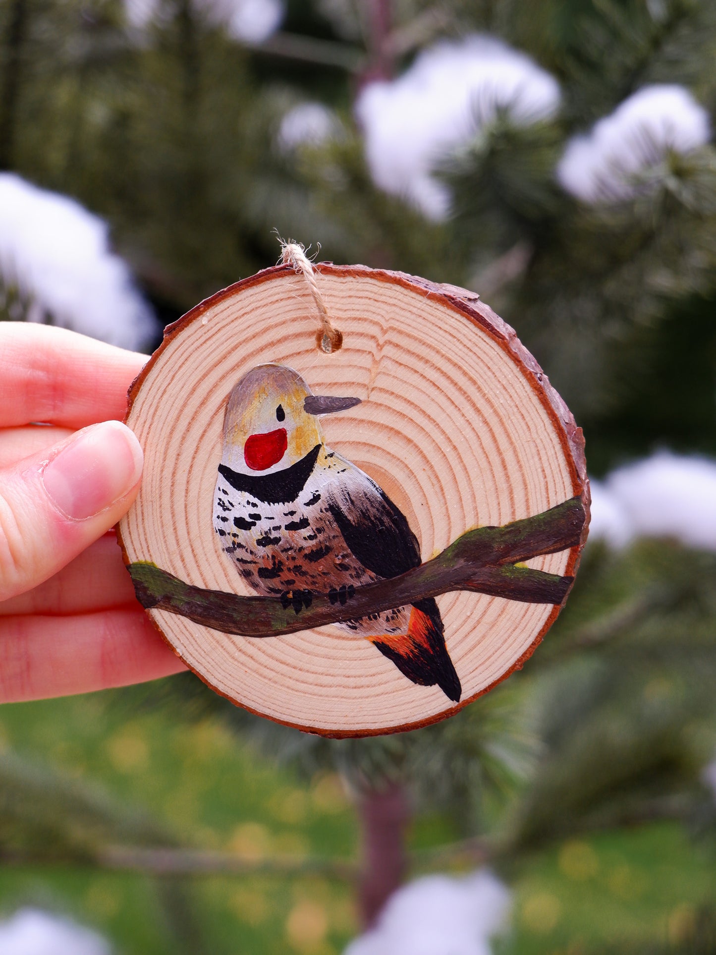 Woodpecker Ornaments- Hand-Painted Ornaments (5)