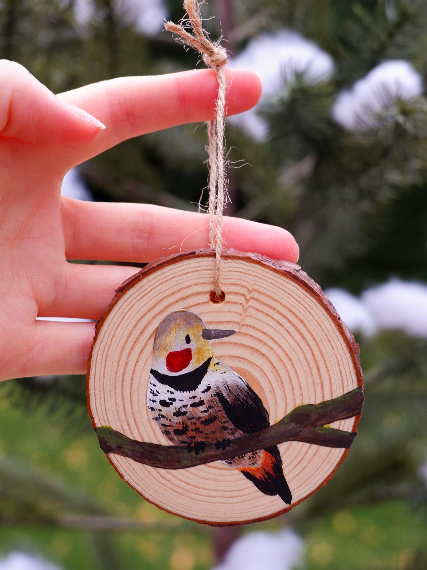 Woodpecker Ornaments- Hand-Painted Ornaments (5)