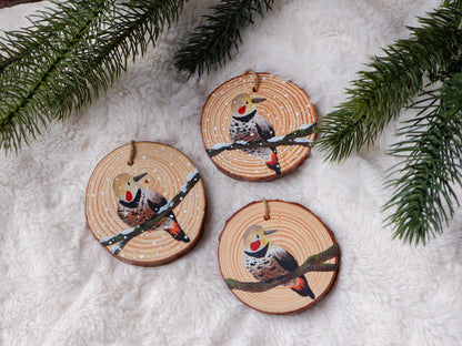 Woodpecker Ornaments- Hand-Painted Ornaments (5)