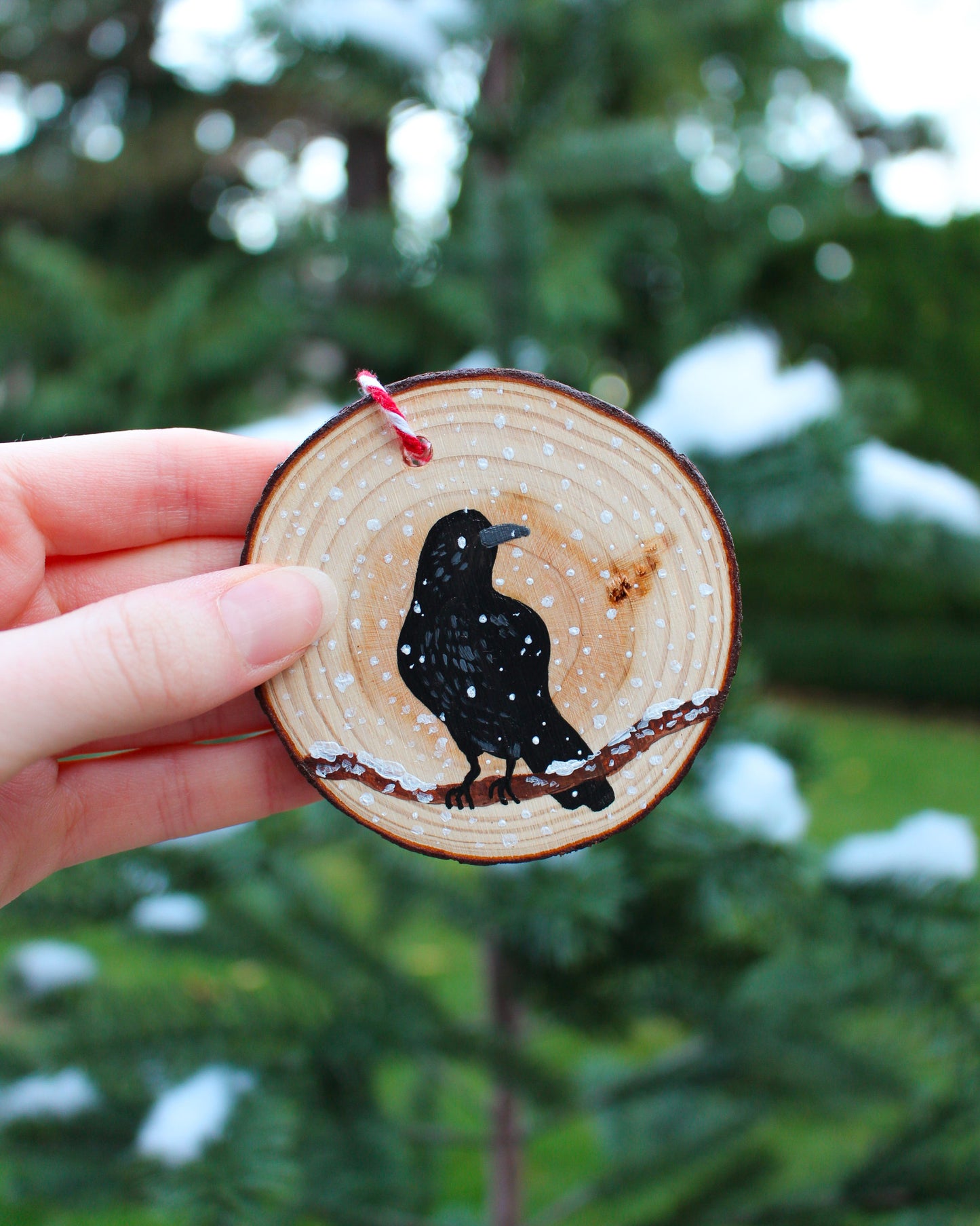Winter Crow Ornaments - Hand-Painted Ornament