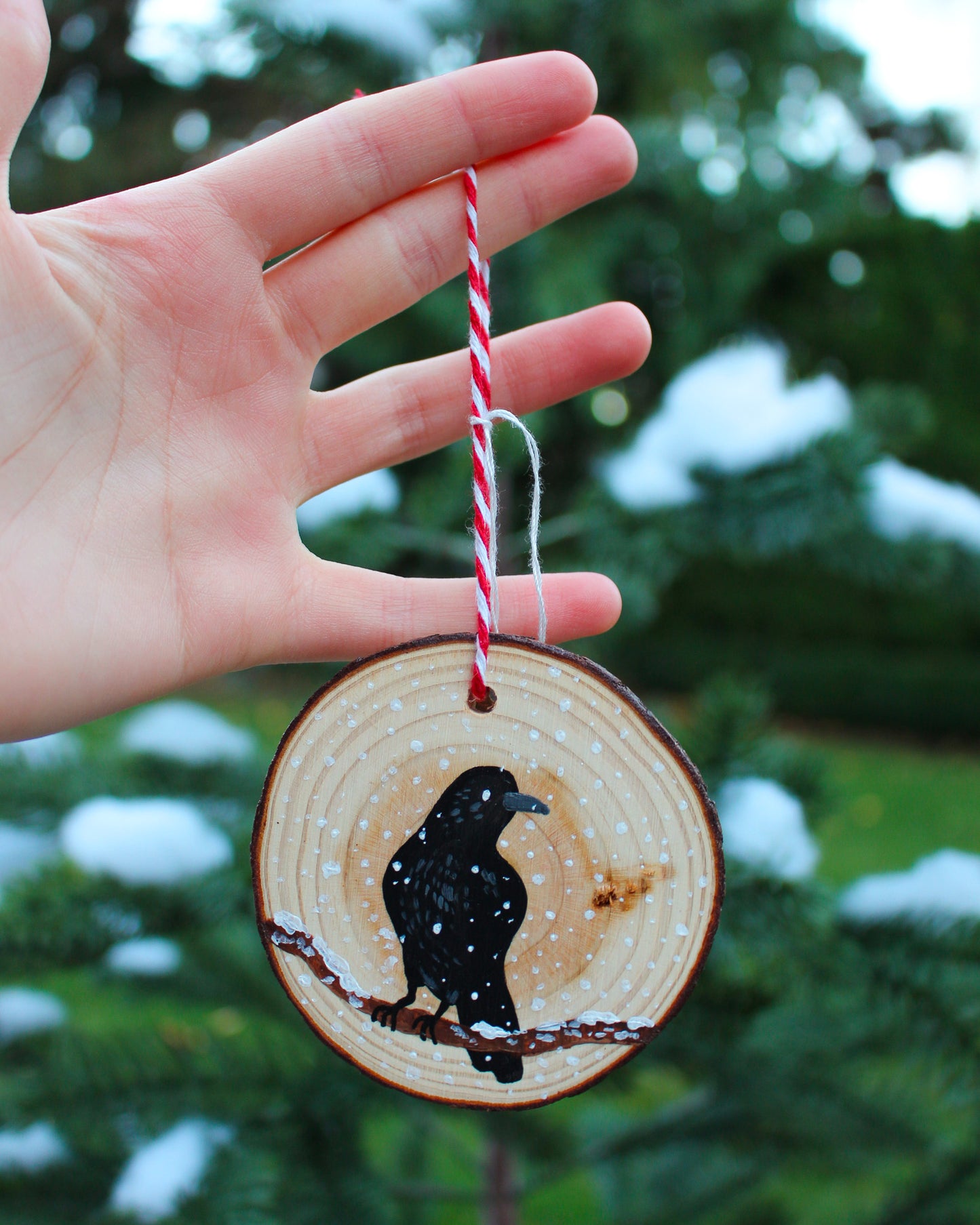 Winter Crow Ornaments - Hand-Painted Ornament