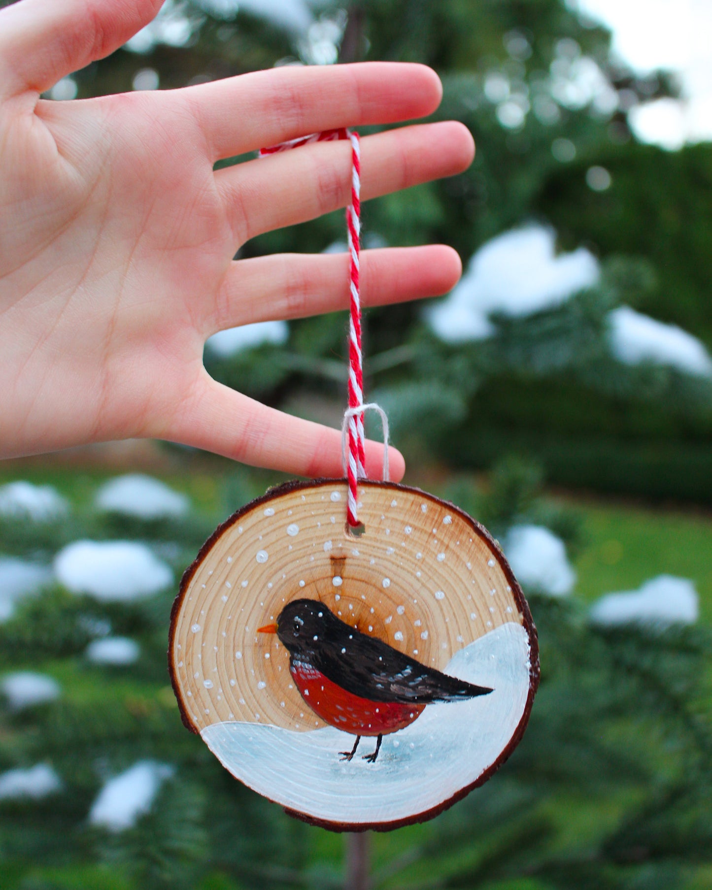 Robin Ornament - Hand-Painted Ornament