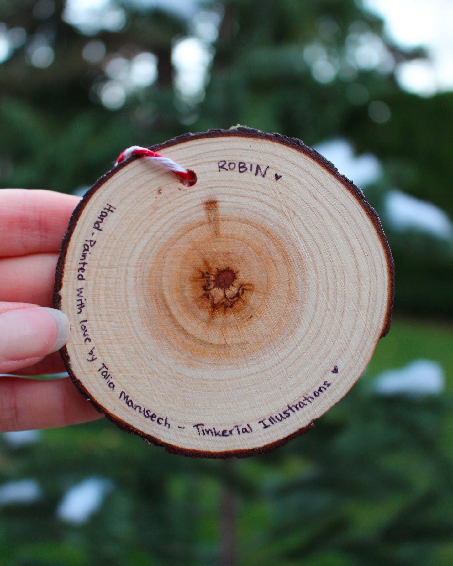 Robin Ornament - Hand-Painted Ornament