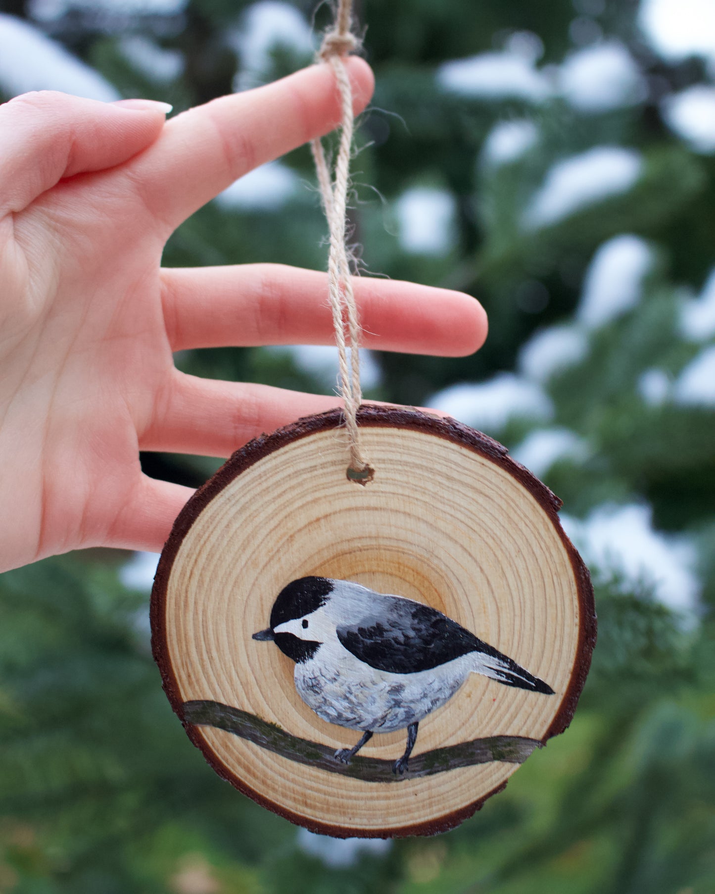 Chickadee Ornaments (5) - Hand-Painted Ornaments