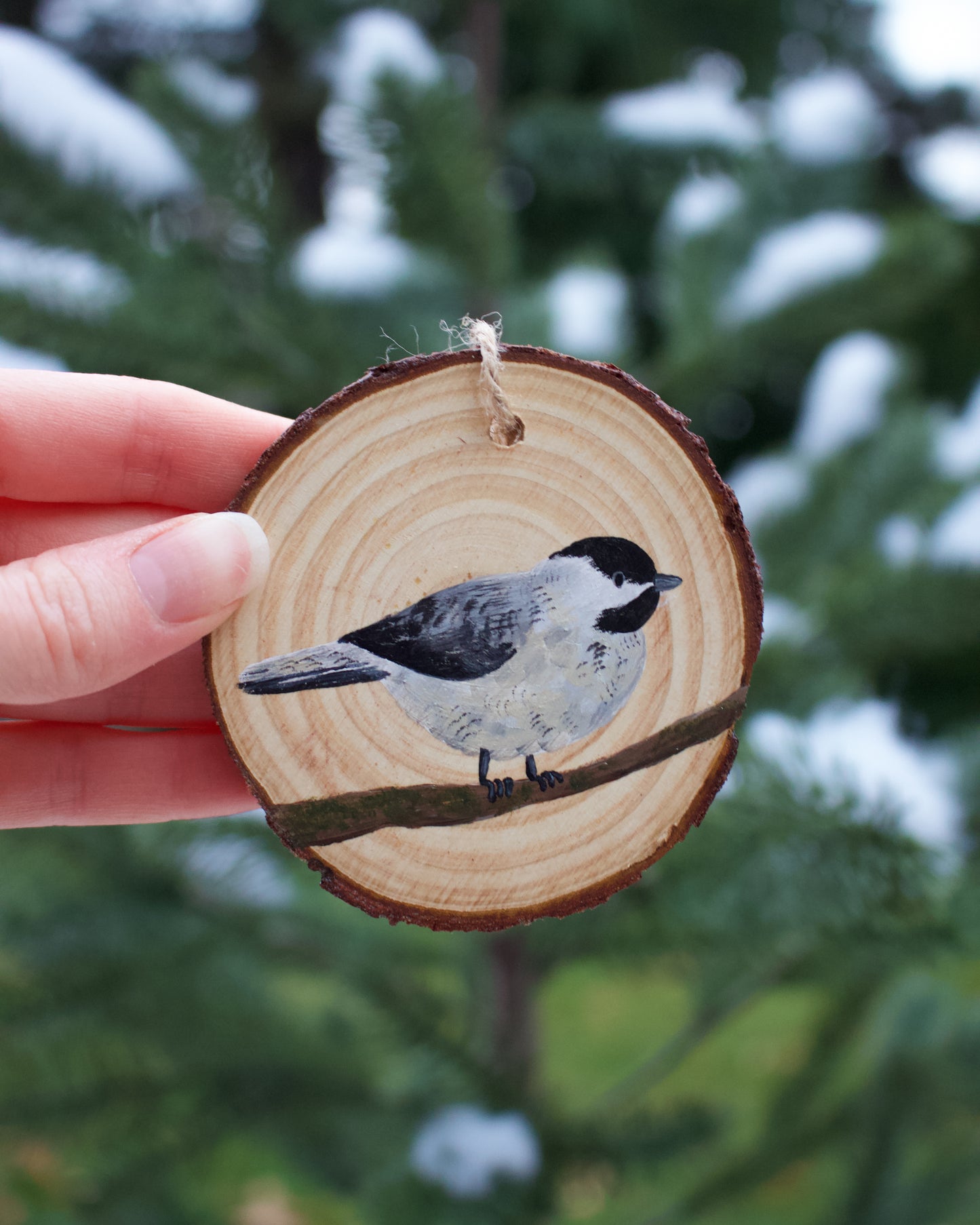Chickadee Ornaments (5) - Hand-Painted Ornaments