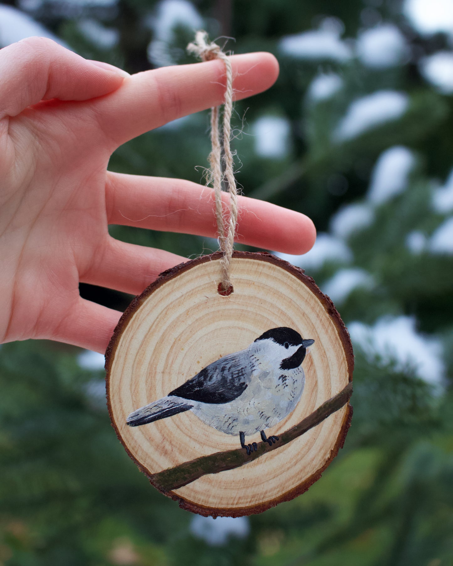 Chickadee Ornaments (5) - Hand-Painted Ornaments