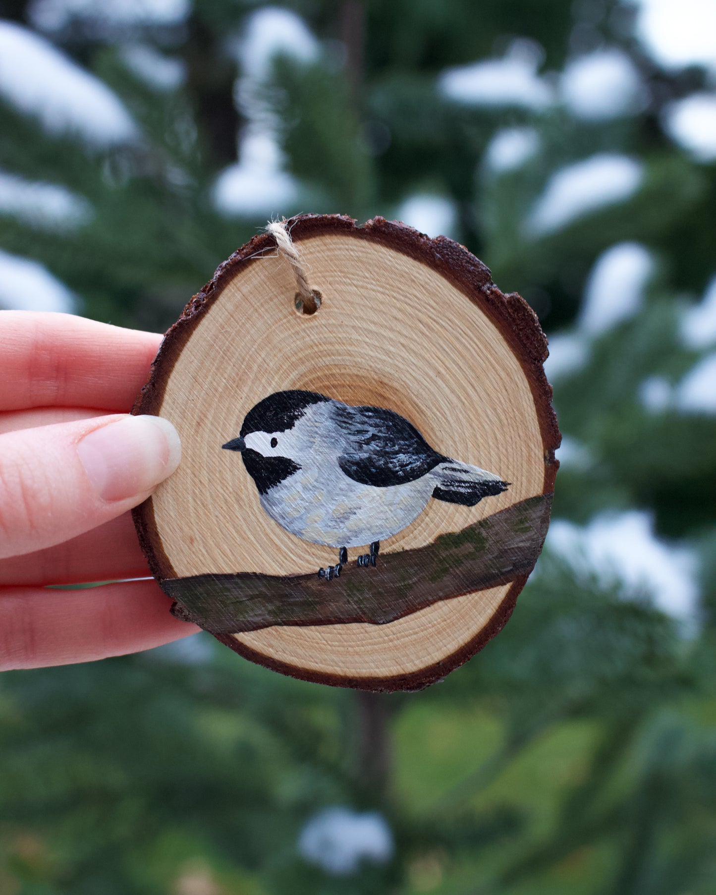 Chickadee Ornaments (5) - Hand-Painted Ornaments