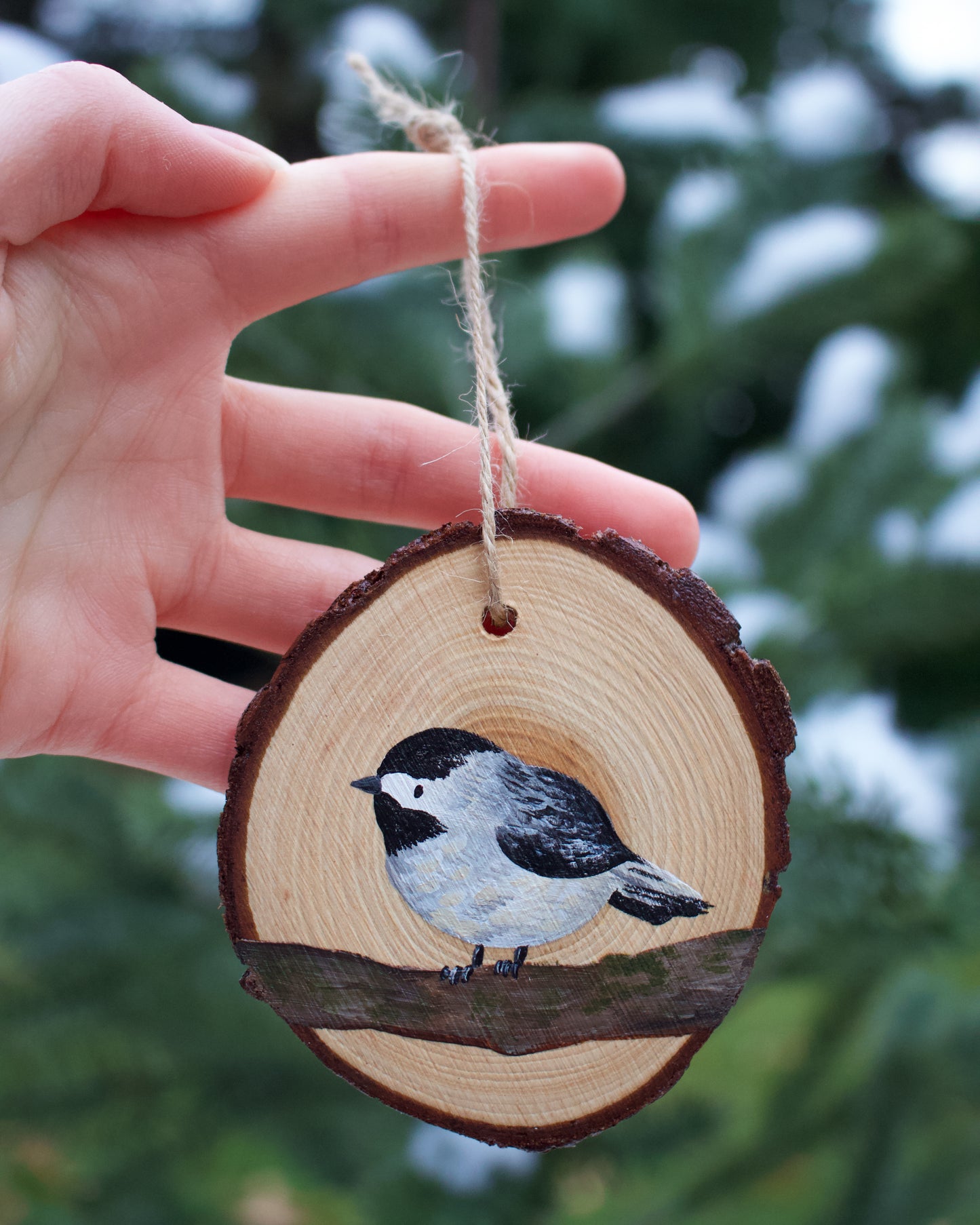 Chickadee Ornaments (5) - Hand-Painted Ornaments