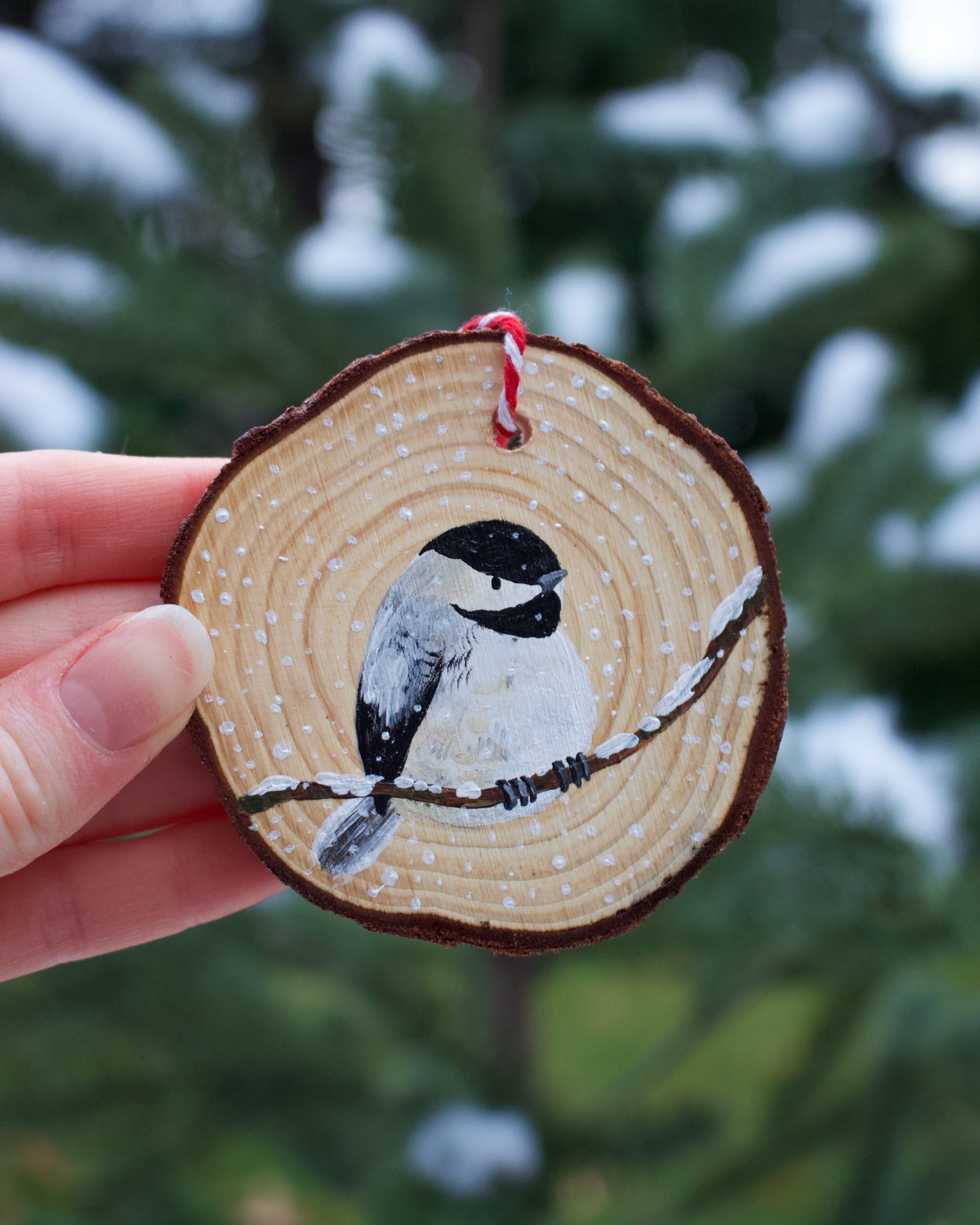 Chickadee Ornaments (5) - Hand-Painted Ornaments