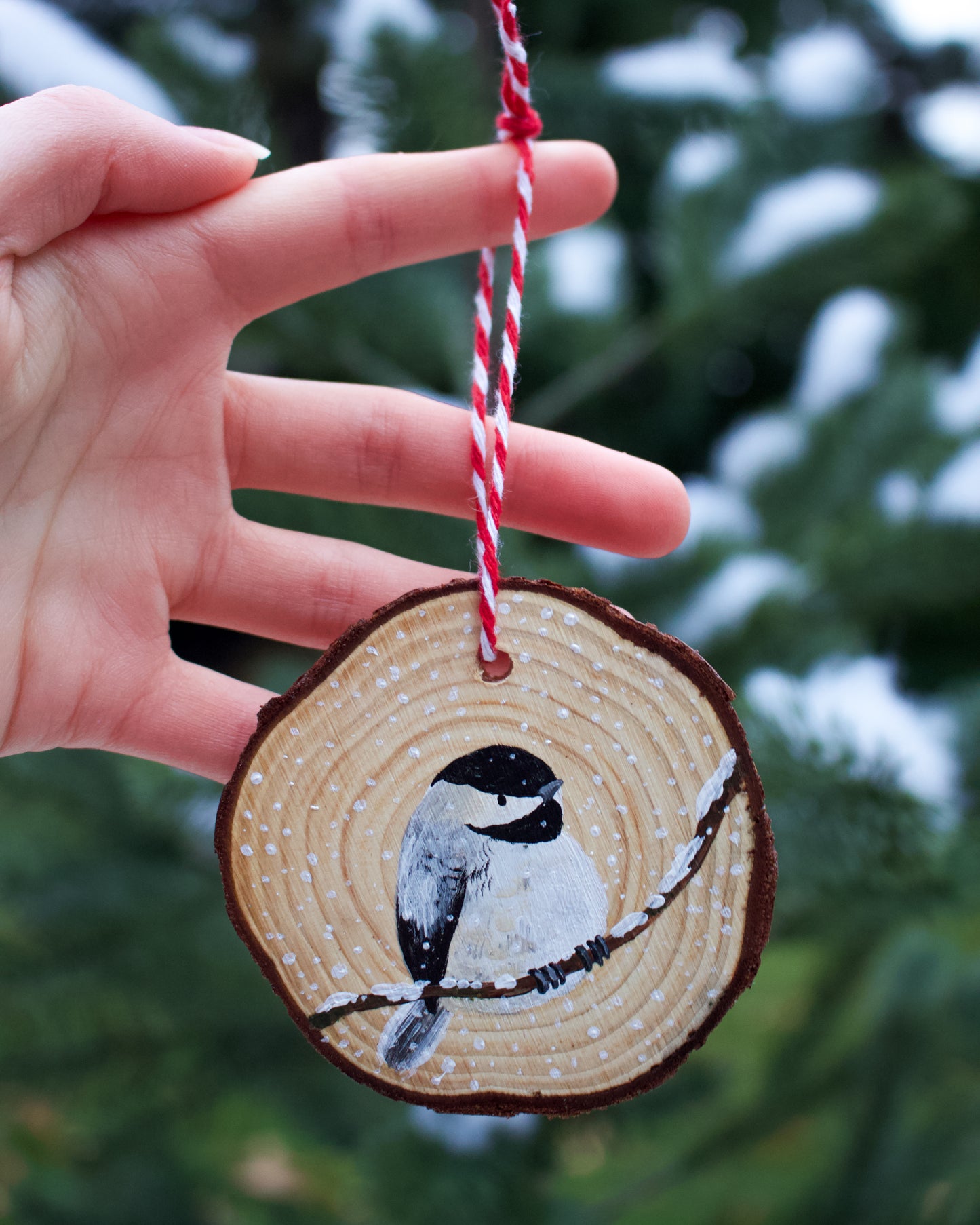 Chickadee Ornaments (5) - Hand-Painted Ornaments
