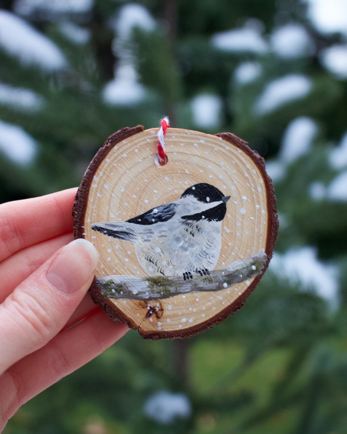 Chickadee Ornaments (5) - Hand-Painted Ornaments