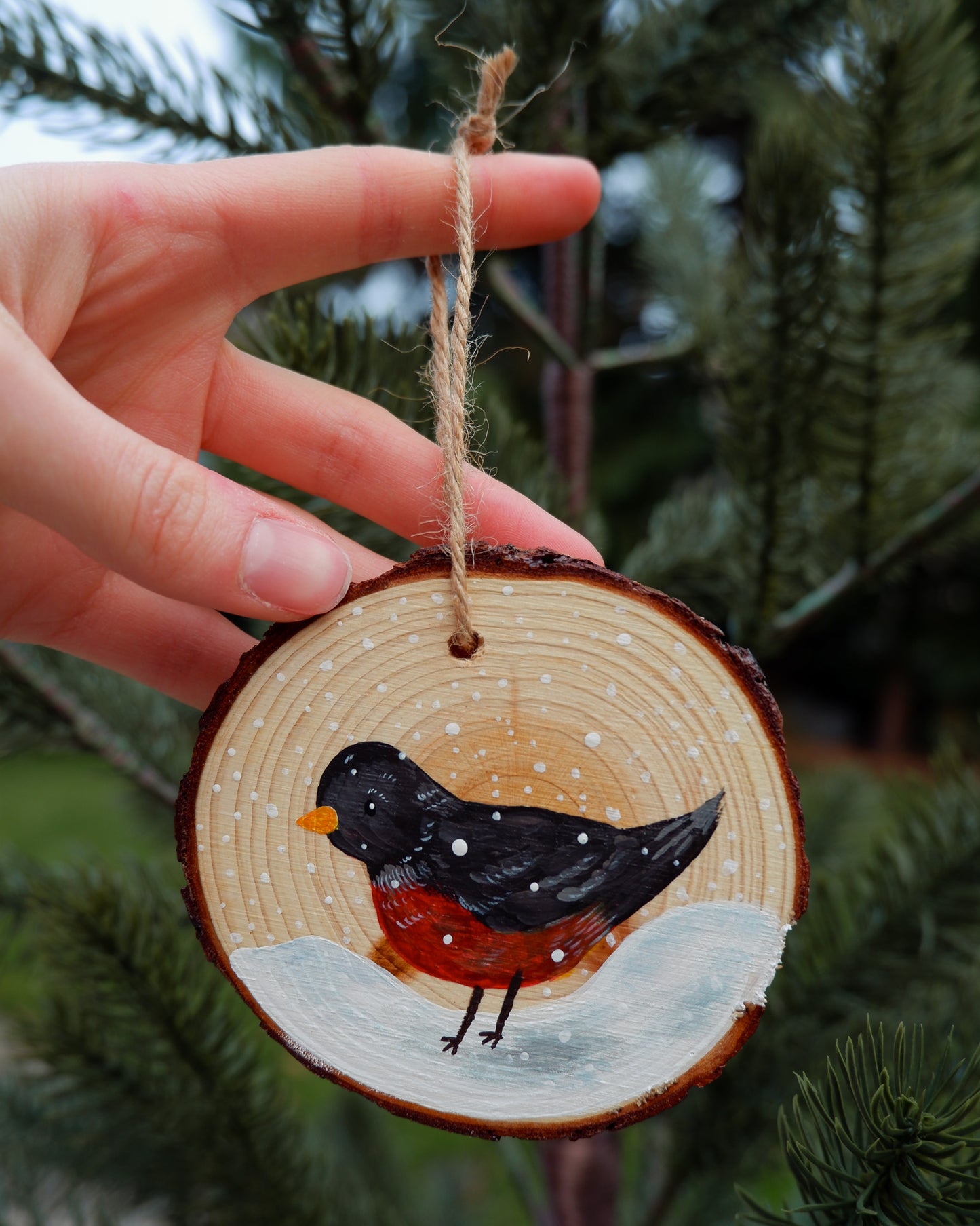 Robin Ornament - Hand-Painted Ornament